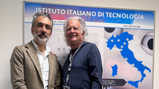 Lo scienziato Avram Miller nominato primo 'Iit Fellow'