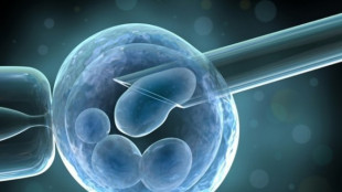 Individuate le varianti genetiche alla base degli aborti spontanei