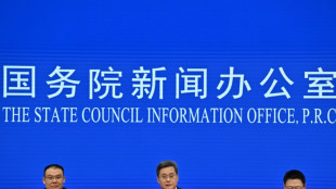 Schw&auml;chelnde Wirtschaft: China k&uuml;ndigt Ausgabe spezieller Staatsanleihen an