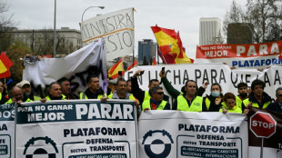 Madrid d&eacute;bloque un milliard d'euros pour tenter de stopper la gr&egrave;ve des routiers