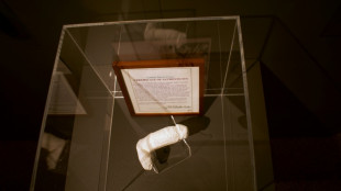 Isländisches Phallusmuseum enthüllt Gips-Abguss von Jimi Hendrix' Penis