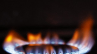 Il gas apre poco mosso ad Amsterdam (-0,03%)