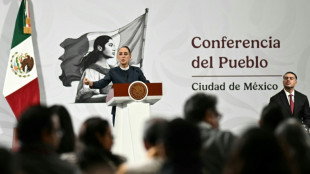 La presidenta de M&eacute;xico lanza un plan de seguridad para el convulso estado de Michoac&aacute;n