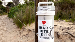 Mauled Australian swimmer recalls punching shark 