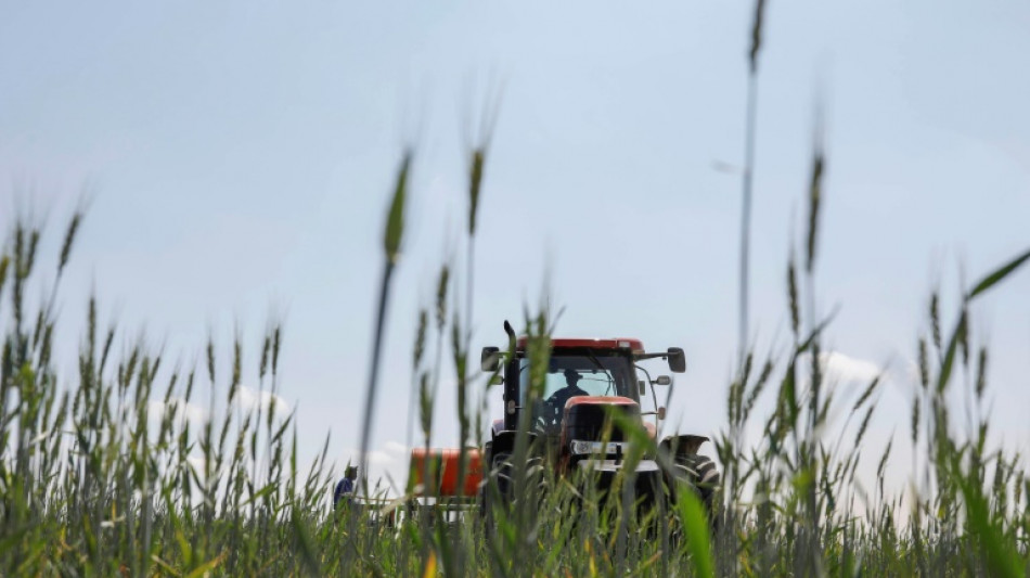Einkommen von Landwirten steigen deutlich - &Ouml;zdemir will weniger B&uuml;rokratie