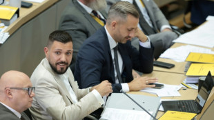 La ultraderecha alemana logra por primera vez desde 1945 la presidencia de un Parlamento regional