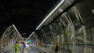 Traforo del Monte Bianco, 'lavori sulla volta fino al 2050'