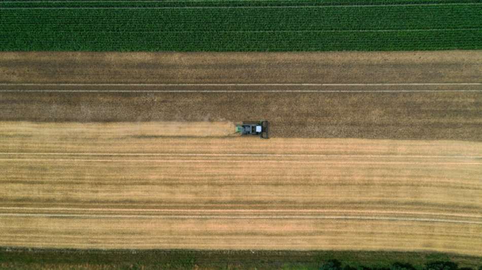 St&auml;rkster Anstieg der Erzeugerpreise f&uuml;r Agrarprodukte seit &uuml;ber zehn Jahren