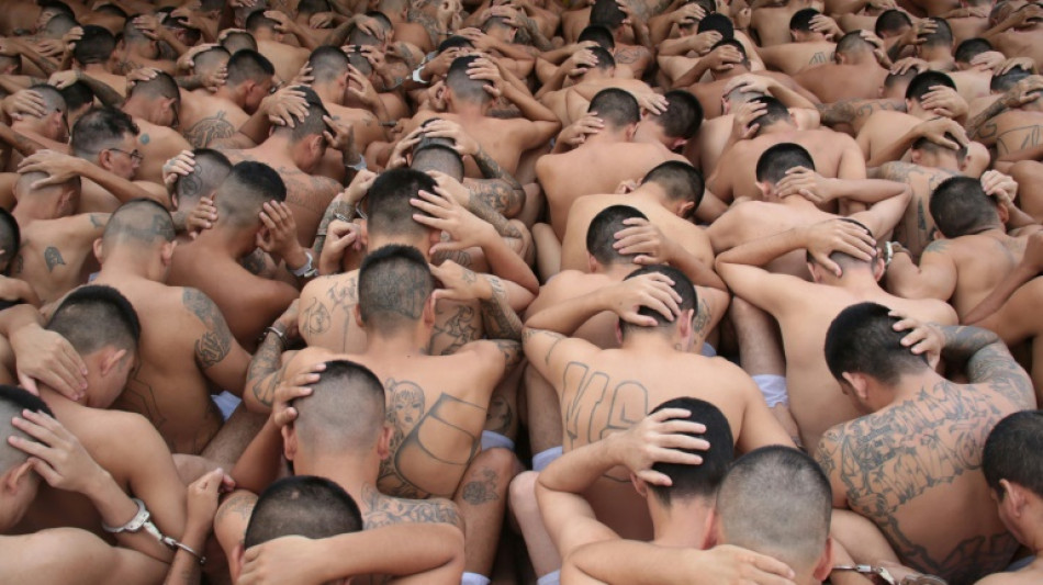 Salvador: la mani&egrave;re forte peut-elle suffire pour &eacute;radiquer les gangs ?