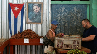 Un convoy internacional llevar&aacute; a Cuba "m&aacute;s de 20 toneladas" de ayuda humanitaria