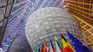 Media, 'domani riunione d'emergenza dei 27 ambasciatori Ue sui dazi'