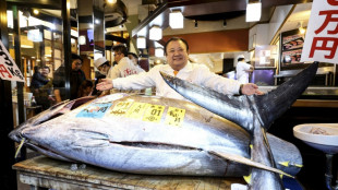 'Tuna King' pays record $3.2 mn for bluefin at Tokyo auction