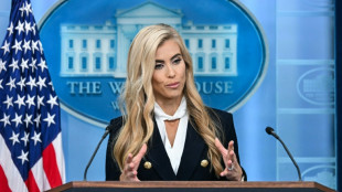 Trump's new press secretary faces scrutiny over credentials