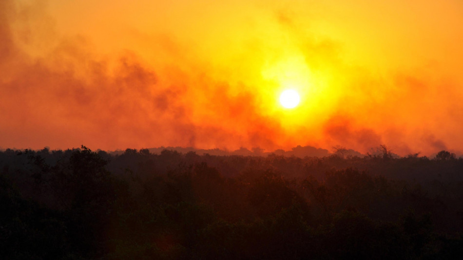 Brasile, indagini sul ruolo della criminalit&agrave; negli incendi