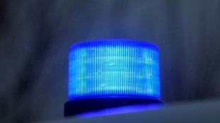 Polizei in NRW entdeckt bei Drogenrazzia Cannabisplantagen mit Millionenertr&auml;gen