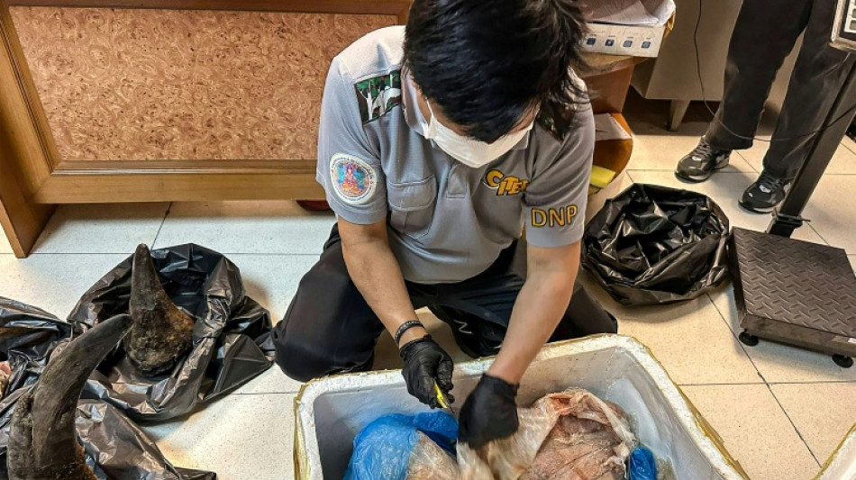 Tha&iuml;lande: des cornes de rhinoc&eacute;ros dissimul&eacute;es dans de la viande