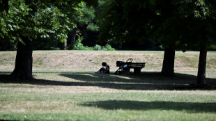 Deutscher Wetterdienst: September au&szlig;ergew&ouml;hnlich warm und sonnig