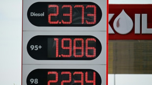 Las reservas estrat&eacute;gicas de petr&oacute;leo, un colch&oacute;n para amortiguar las crisis