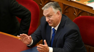 Pour les députés européens, la Hongrie n'est plus une vraie démocratie